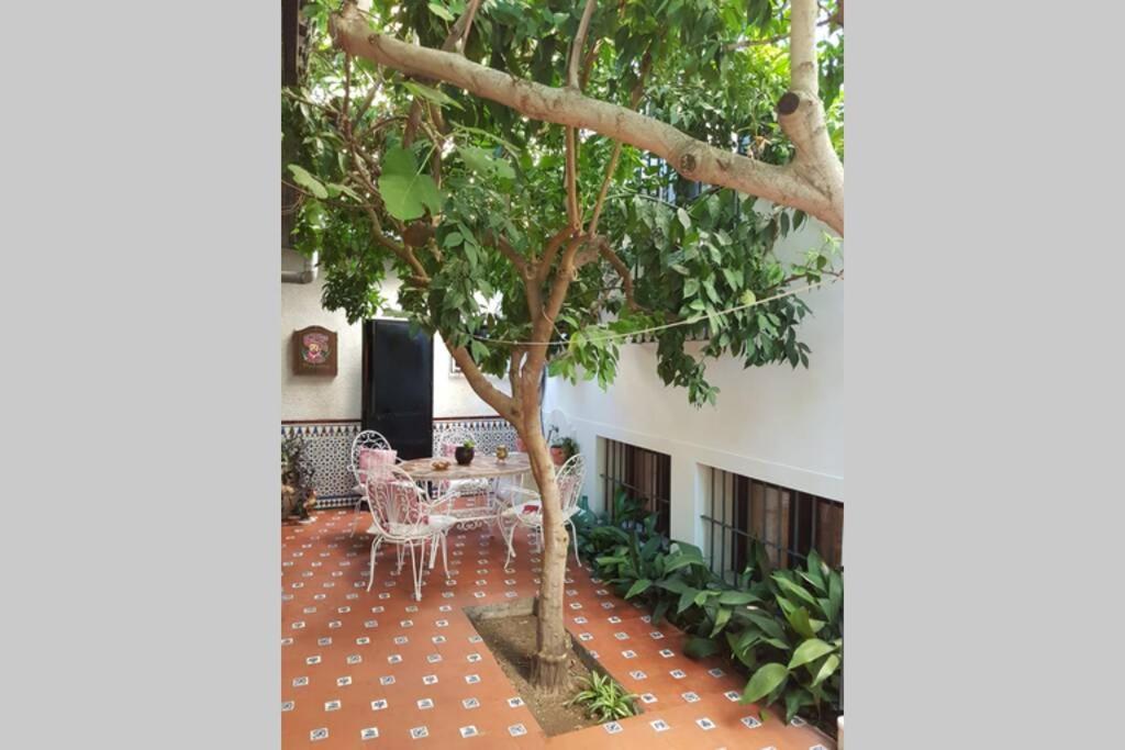 Casa En Granada Con Hermoso Jardin, Parking Calle 외부 사진